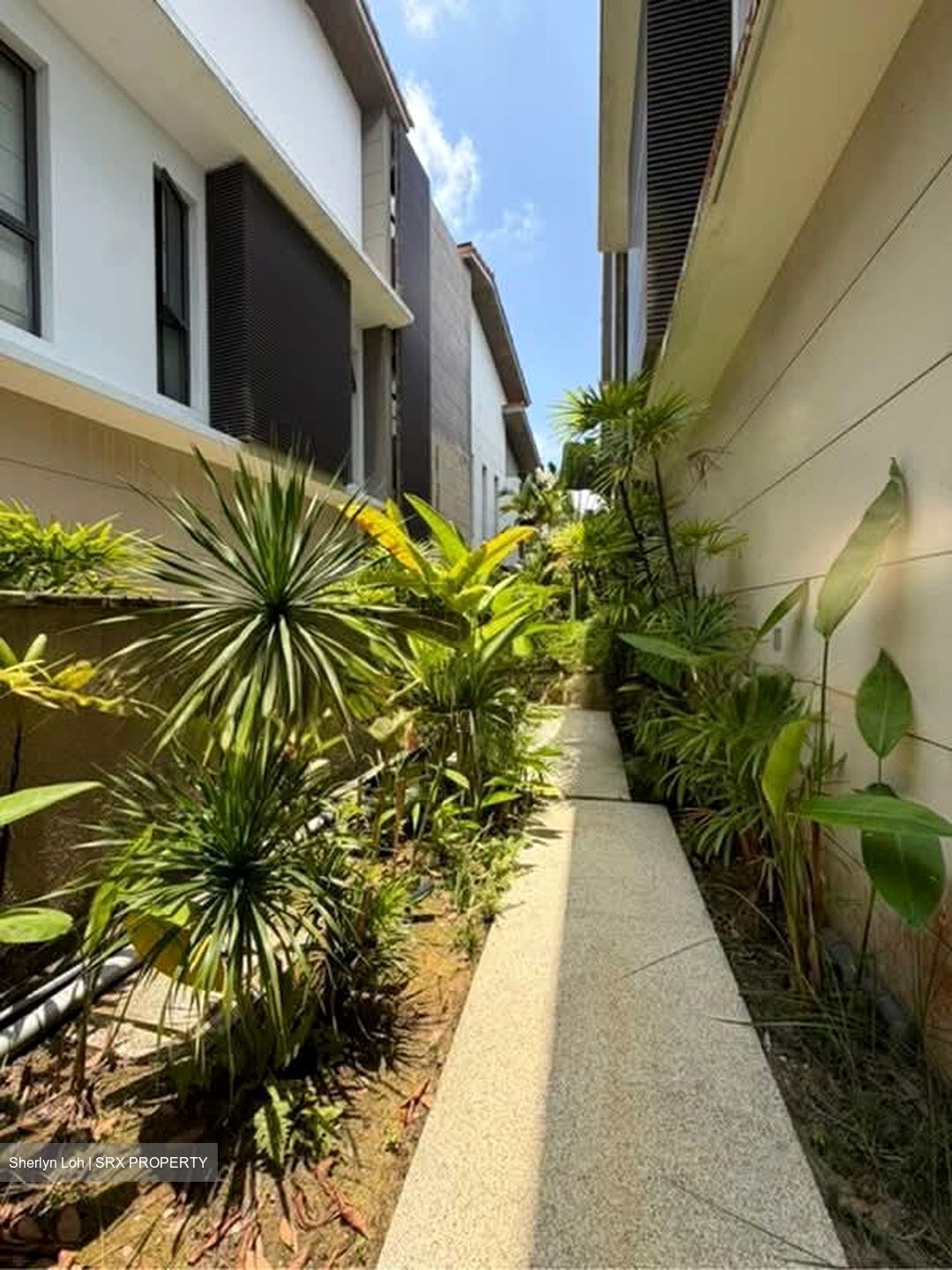 Paradise Island (D4), Detached #553795781